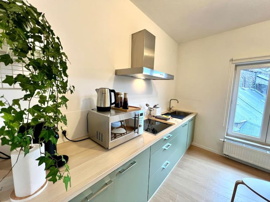 Duplex Chic Et Spacieux - Hypercentre Appartement Luik